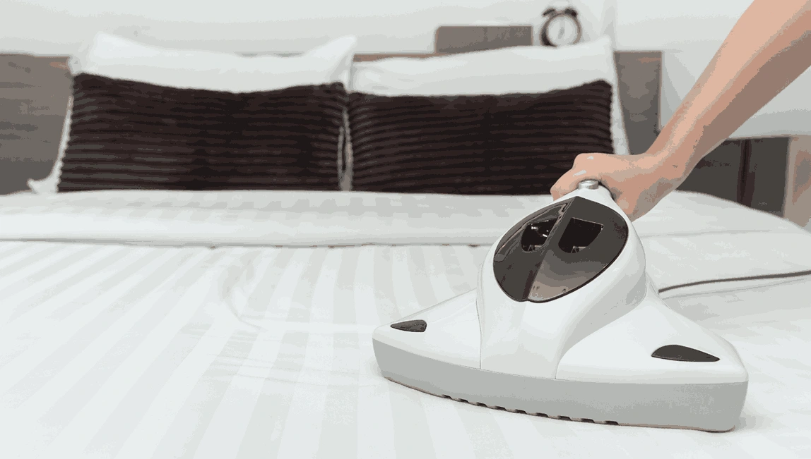 Professional Mattress Cleaning Nerrina